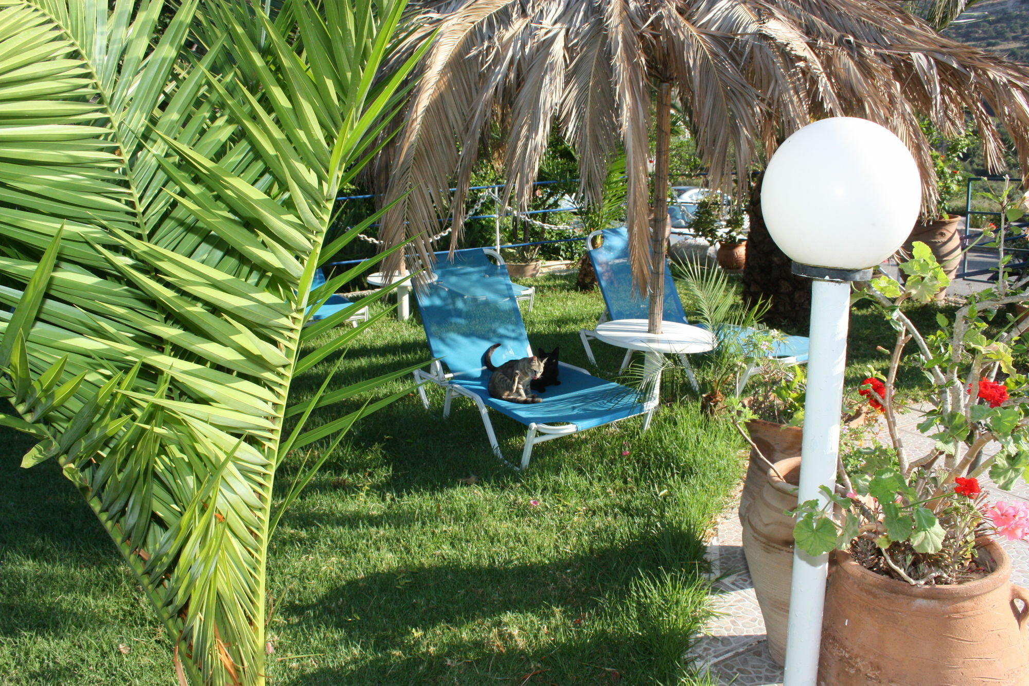 Welcome Apts Γεωργιούπολη Εξωτερικό φωτογραφία